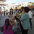 IMG11014.jpg