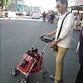 IMG11027.jpg