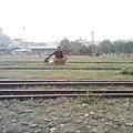 IMG10502