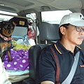 IMG_20140329_112518.jpg