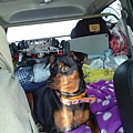 IMG_20140329_112604.jpg