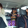 IMG_20140329_112745.jpg