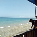 IMG_20140329_114017.jpg
