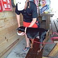 IMG_20140329_121432.jpg