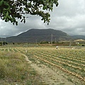 IMG_20140329_140659.jpg