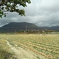 IMG_20140329_140740.jpg