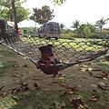 IMG_20140329_150440.jpg
