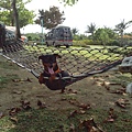 IMG_20140329_150443.jpg