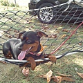 IMG_20140329_150510.jpg