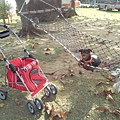 IMG_20140329_150626.jpg