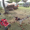 IMG_20140329_150716.jpg