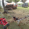 IMG_20140329_150730.jpg