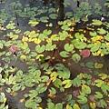 IMG_20140329_154553.jpg