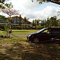 IMG_20140329_155739.jpg