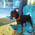 IMG_20140329_161631.jpg