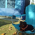 IMG_20140329_161724.jpg