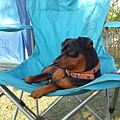 IMG_20140329_162314.jpg
