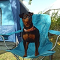 IMG_20140329_162520.jpg