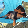 IMG_20140329_162704.jpg