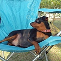 IMG_20140329_162723.jpg