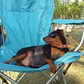 IMG_20140329_162731.jpg