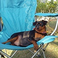 IMG_20140329_162733.jpg
