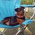 IMG_20140329_162751.jpg