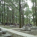 IMG_20140415_131100.jpg