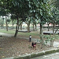 IMG_20140415_131404.jpg