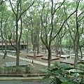 IMG_20140415_133219.jpg