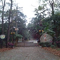 IMG_20140415_143443.jpg