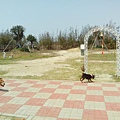 IMG_20140416_131141.jpg