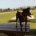 IMG_20140416_131731.jpg
