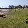 IMG_20140416_144820.jpg