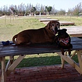 IMG_20140416_145325.jpg