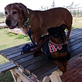 IMG_20140416_145910.jpg
