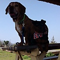 IMG_20140416_145958.jpg