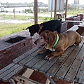 IMG_20140416_150138.jpg