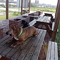 IMG_20140416_150256.jpg
