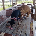 IMG_20140416_150901.jpg