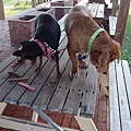 IMG_20140416_150908.jpg