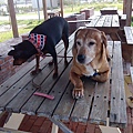 IMG_20140416_151024.jpg