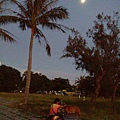 IMG_20140906_182733.jpg
