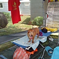 IMG_20140907_130008.jpg