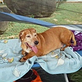 IMG_20140907_130032.jpg