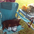 IMG_20140907_130050.jpg