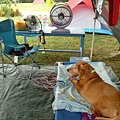 IMG_20140907_130107.jpg
