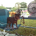IMG_20140907_130825.jpg