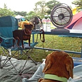 IMG_20140907_130837.jpg