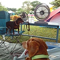 IMG_20140907_130840.jpg